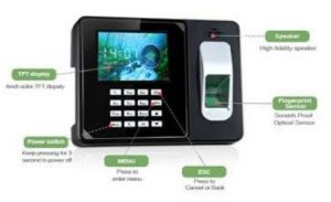 low cost time attendance for small business