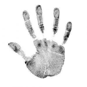 palm reader for time attendance